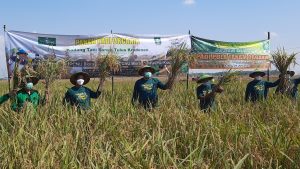 Bupati Blora Ajak PCNU Dorong Petani Beralih Bertani Organik