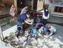 Kades di Blora Gelontorkan Belasan Juta Rupiah untuk Basmi Tikus Sawah