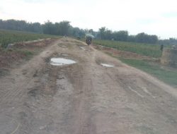 Kades Bergolo Tutup Jalan Alternatif, Ini Penjelasannya
