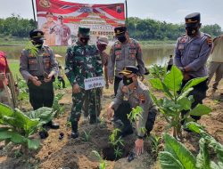 Jaga Kelestarian Lingkungan, Polres Blora Tanam Pohon di Kawasan Bantaran Sungai Bengawan Solo