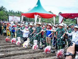 Gandeng TNI AD, Pertamina Hulu Rokan Siapkan Lahan 100 Hektar Dukung Ketahanan Pangan Nasional