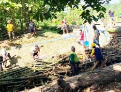 Sungai dan Bendungan di Blora Darurat Penyumbatan Sampah