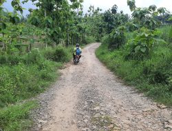 Desa Plantungan Jalannya Rusak, Ini Solusi dari DPRD Blora