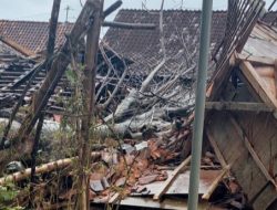 Akibat Pohon Tumbang, Sebuah Rumah di Blora Porak Poranda