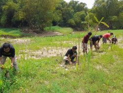 Cegah Longsor Warga Tanam Ratusan Pohon di Bantaran Sungai Lusi