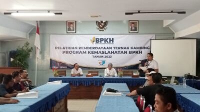 Politikus Nasdem, Sri Wulan Gandeng BPKH Adakan Pelatihan Pemberdayaan Ternak Kambing di Blora