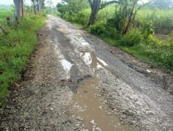 Pemkab Blora Anggarkan Rp 1,8 M untuk Perbaiki Jalan Kamolan – Jepangrejo – Badong