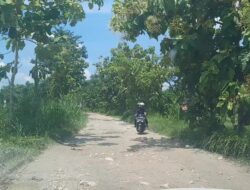 Pemkab Blora Segera Perbaiki Jalan Pelem – Ngampon