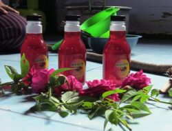 Desa Kajar, Sentra Wedang Mawar di Kaki Pegunungan Lasem Rembang