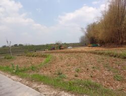Melihat Aktivitas Pengambilan Tanah Urug di Desa Jepangrejo Blora