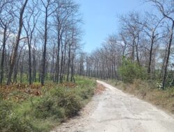 Jalan Cabak – Bleboh Jiken Blora Dibangun dengan Anggaran Rp 18,5 Miliar, Impian Warga Terwujud