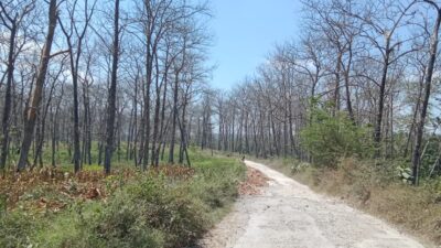 Jalan Cabak – Bleboh Jiken Blora Dibangun dengan Anggaran Rp 18,5 Miliar, Impian Warga Terwujud