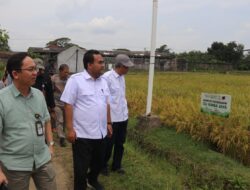 Perkuat Swasembada Pangan, Pemkab Blora Genjot Optimalisasi Lahan Pertanian