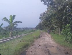 Ruas Jalan Banjarejo – Rowobungkul Blora Dibangun Tahun 2025, Anggarannya Rp 13 Miliar