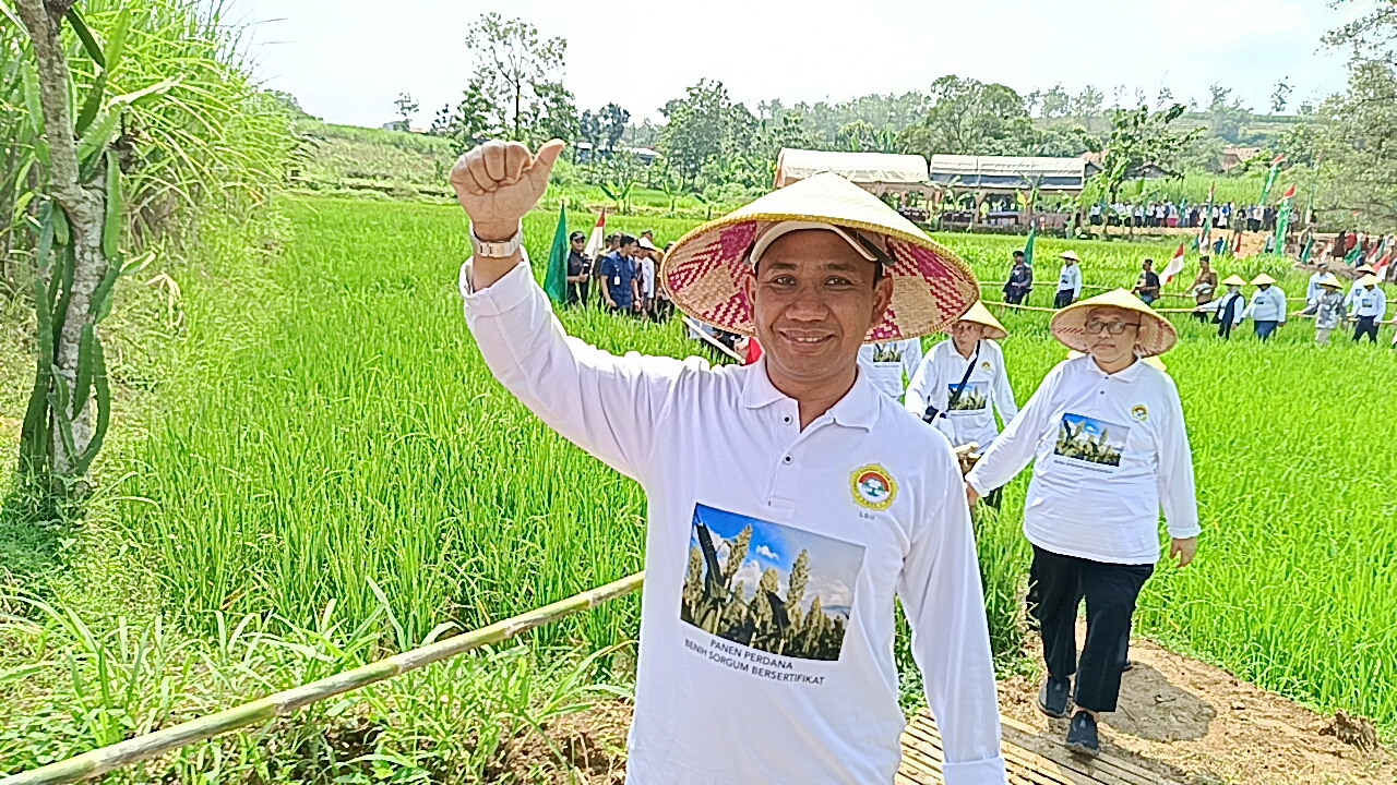 Ketua DPRD Blora, Mustopa saat mengikuti panen perdana sorgum bersertifikat bersama Menteri Desa Yandri Susanto di Dukuh Gelam, Desa Kedungwungu, Kecamatan Todanan, pada Minggu (11/5/2025)