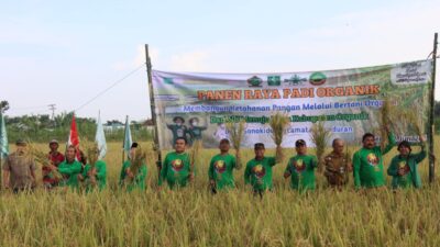 Panen Raya Padi Organik Bareng NU, Ini Komitmen Bupati Blora