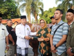 Presiden Hingga Mensesneg Berikan Sapi Kurban untuk Warga Blora