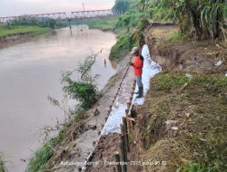 Tanggul Kali Bodri Kritis Akibat Curah Hujan Tinggi, PU Kendal Pasang Trucuk Darurat