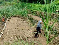 Kondisi Kritis, Masyarakat Desa Kebonharjo Urunan Perbaiki Tanggul Kali Bodri