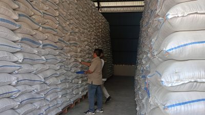 Jemput Bola ke Sawah, Bulog Targetkan Serap 22.200 Ton Gabah Petani di Blora