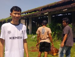 Penyembelihan Sapi di Dapur MBG 27 Turirejo, Pastikan Pasokan Gizi Penerima Manfaat