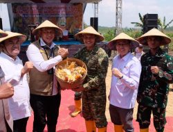 Dirut Bulog Ikut Panen dan Tanam Jagung di Blora, Perkuat Swasembada Pangan Nasional
