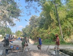 Pembangunan Jembatan Garuda di Jati Blora Berjalan Rencana