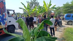 Sejumlah Warga Blora Lakukan Aksi Blokade Jalan Provinsi Randublatung – Cepu Pakai Pohon Pisang