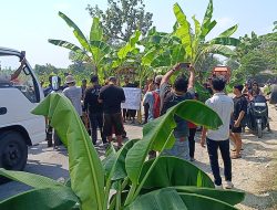 Sejumlah Warga Blora Lakukan Aksi Blokade Jalan Provinsi Randublatung – Cepu Pakai Pohon Pisang
