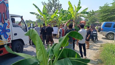 Sejumlah Warga Blora Lakukan Aksi Blokade Jalan Provinsi Randublatung – Cepu Pakai Pohon Pisang