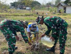 Peringati HUT ke-81 TNI, Kodim 0721/Blora Tanam 1.000 Pohon di Embung Sendangsari